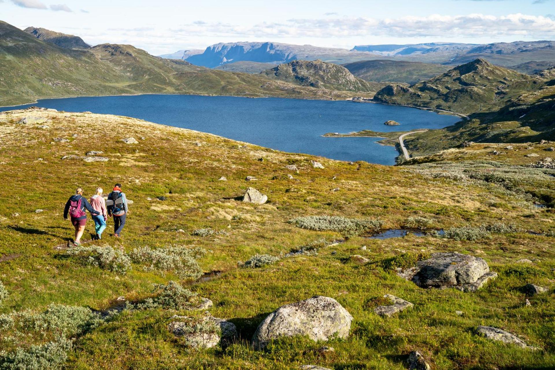 Filefjellstuene Hytter Og Leiligheter Tyinkrysset Exterior foto
